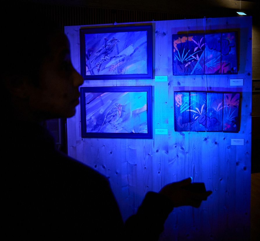 exposition interactive